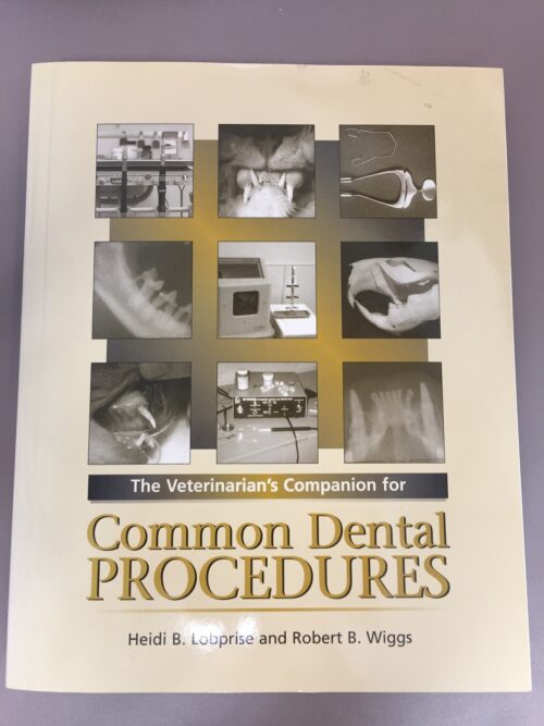 Common Dental Procedures