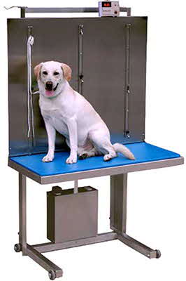Elsam Classic Lift Table