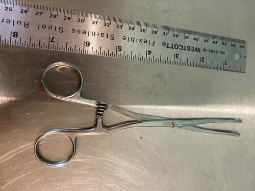 7” Sponge Forcep