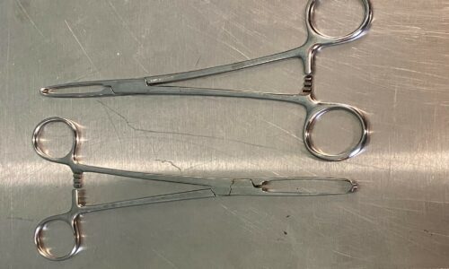 7 1/2” Allis Forceps