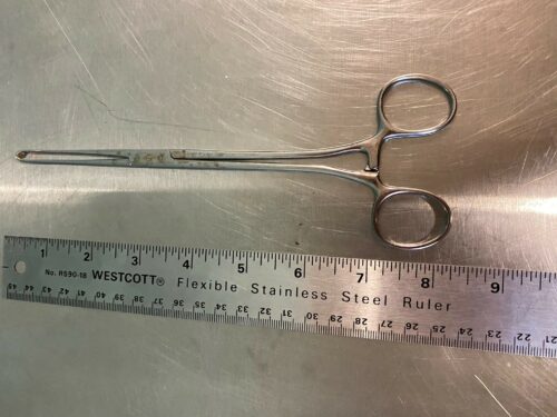 8” Allis Forcep
