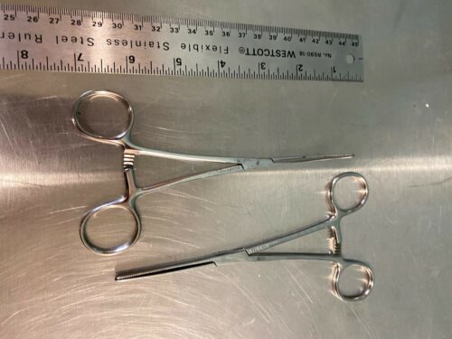 Carmalt Straight & Curved Forceps