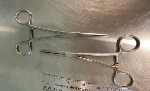 Rochester Peans Forceps 6” Straight