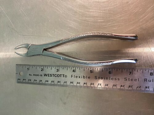 Canine Dental Extractors