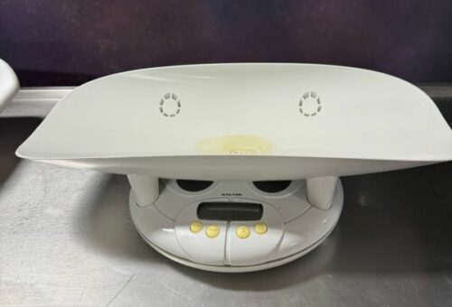 Salter 914 Baby Scale
