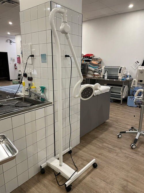 Medical Illumination