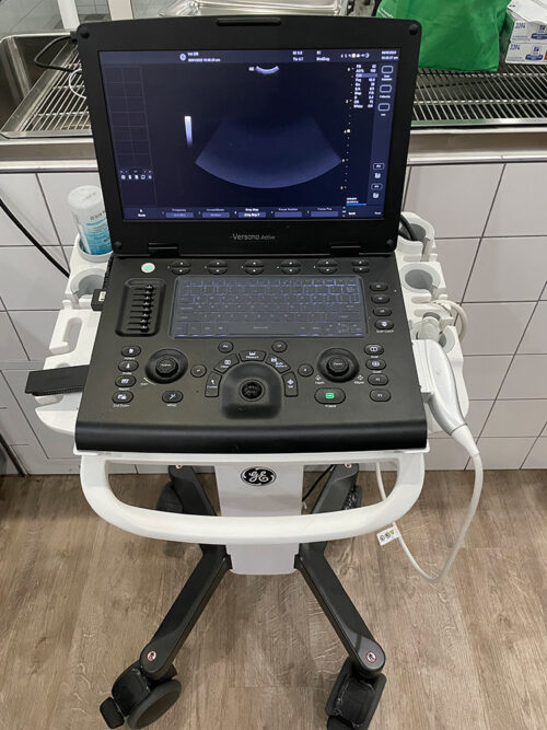 Versana Active Ultrasound