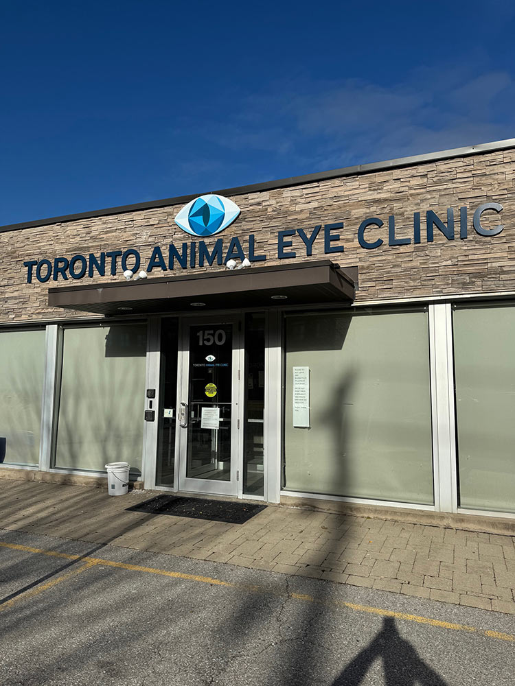 Toronto Animal Eye Clinic